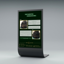 Stand_Display_Curve_Mock-up